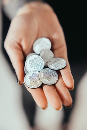 Pins - Image 2