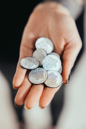 Pins - Image 3