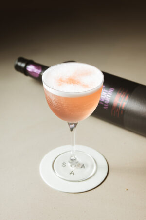 Passionfruit Martini - Image 3